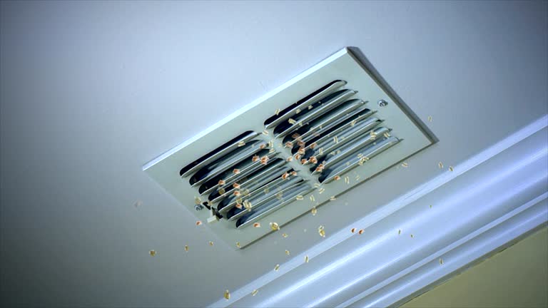 Best Dryer Vent Cleaning Services  in La Riviera, CA